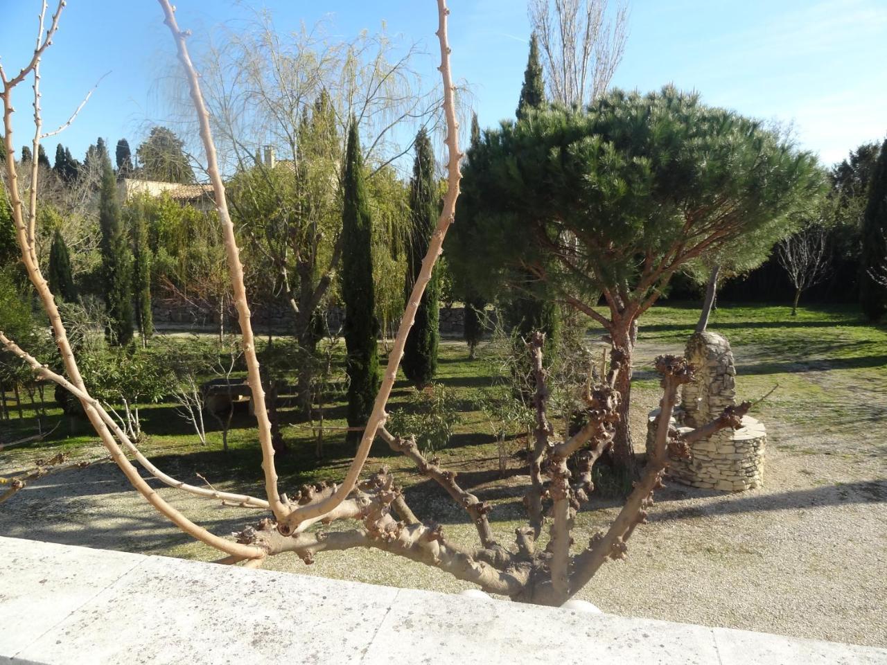 Апартаменти Locations Des Alpilles Сен-Ремі-де-Прованс Екстер'єр фото